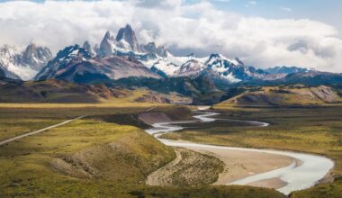 A new study documented a significant shift in puma's behavior in Argentina.