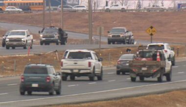 Alberta auto insurers lost $1.2 billion in 2024: Report