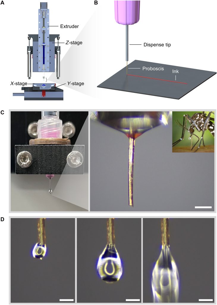 Concept and configuration of 3D necroprinting. Image via McGill University.