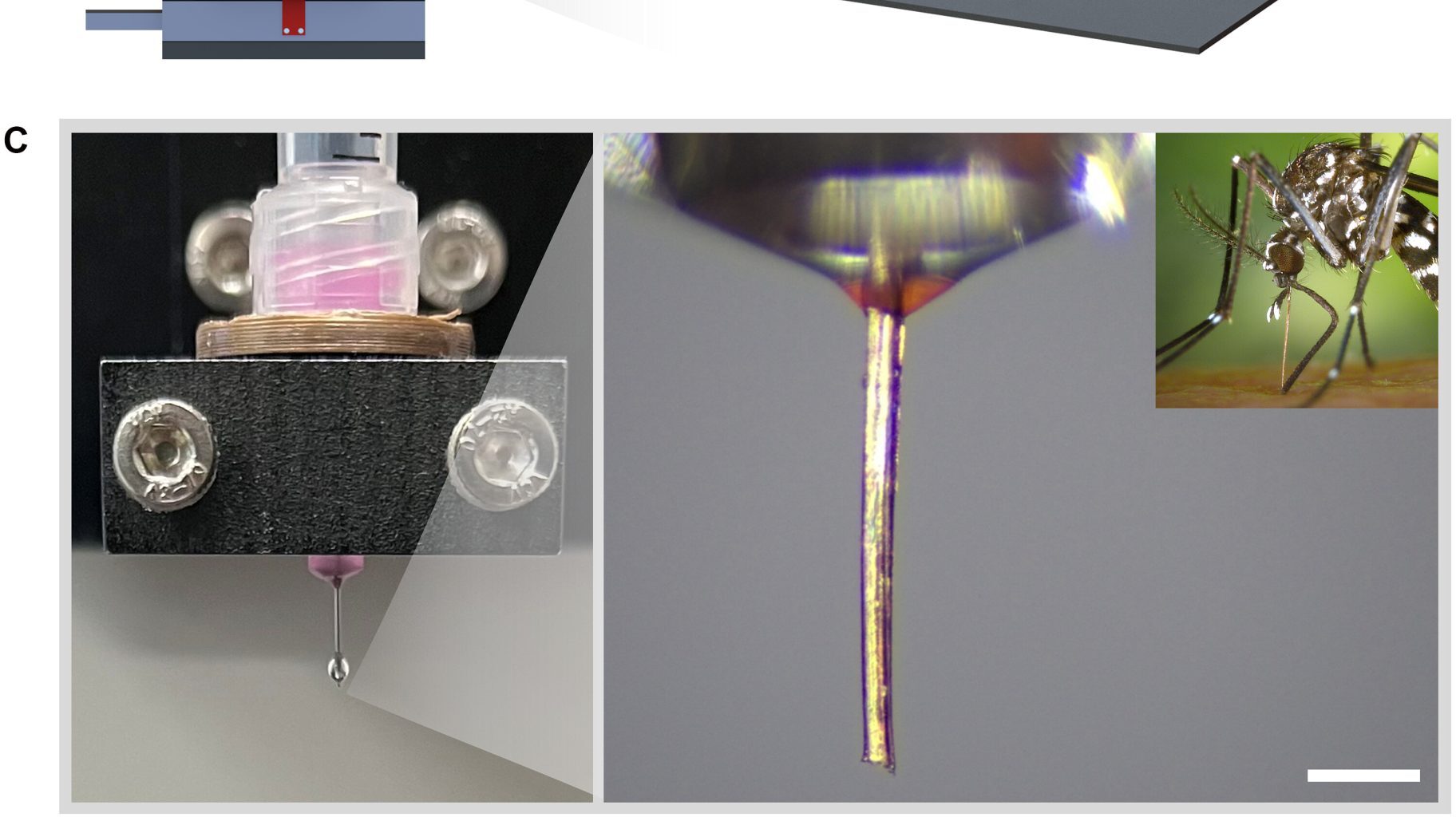 Concept and configuration of 3D necroprinting. Image via McGill University.