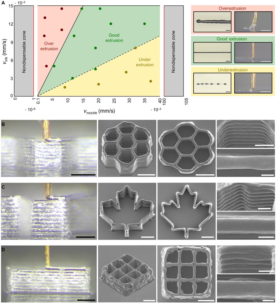Process window and printed microstructures of 3D necroprinting. Image via McGill University.