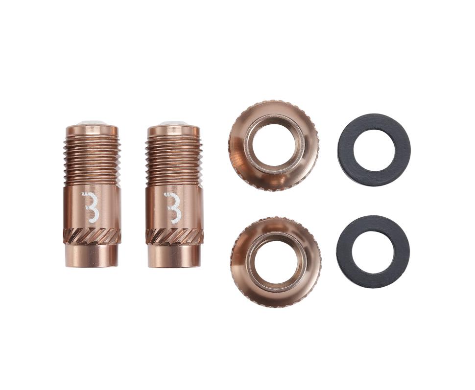 2026 BBB Cycling CoreCap valve oil slick