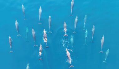 The World’s Oceans Soaked Up Record-Breaking Heat for the 9th Straight Year