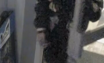 Man wanted in violent assault near St. Clair West Station