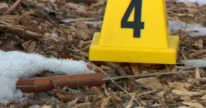 Calgary police investigating stabbing outside southwest high school