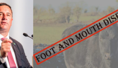 John Steenhuisen Fmd Update