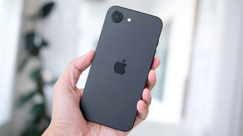 Person showcasing the back of a grey iPhone 16e