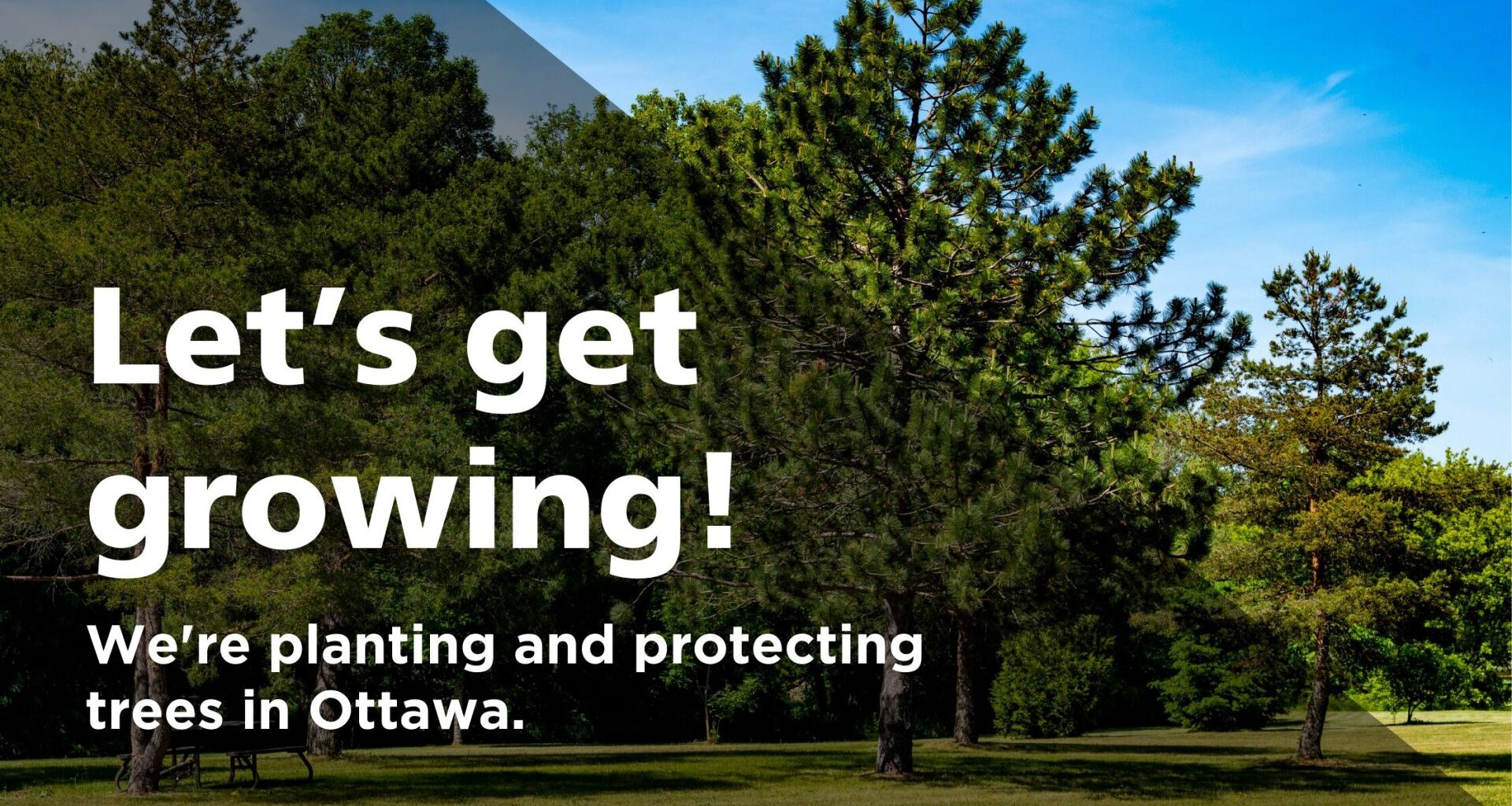 OBJ announces partnership with Canada’s Forest Trust Corporation