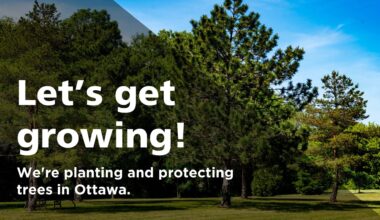 OBJ announces partnership with Canada’s Forest Trust Corporation