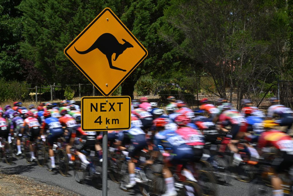 STIRLING AUSTRALIA JANUARY 19 A general view of the peloton prior to the 9th Santos Womens Tour Down Under 2025 Stage 3 a 1059km stage from Stirling to Stirling 444m UCIWWT on January 19 2025 in Stirling Australia Photo by Dario BelingheriGetty Images