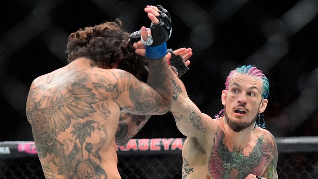 UFC 324: Sean O'Malley vs. Song Yadong Predictions & Odds