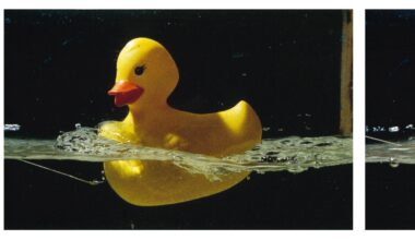 Exposing life’s limits with dimensionless numbers