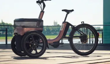 van raam electric trike mobility disability