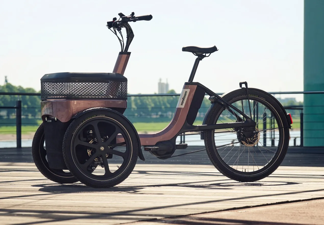 van raam electric trike mobility disability