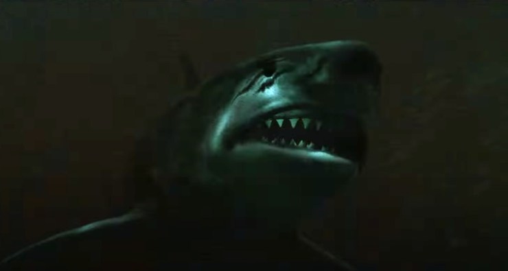 Shiver shark - Survive