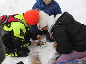 A team of scouts tries to start a fire with wood chips, dryer lint and a match in order to melt snow into water for their
