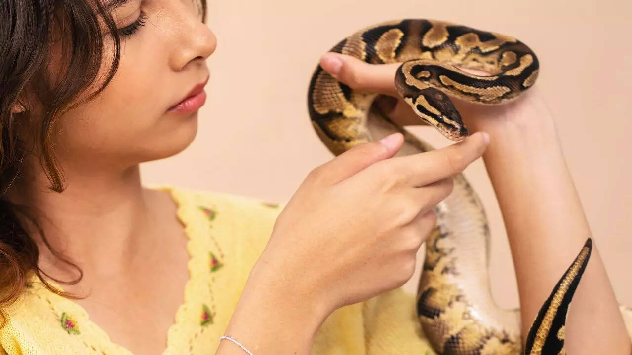 What snakes do not express, even if they feel attached