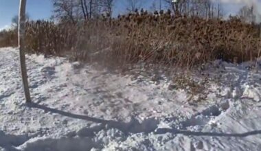 Drone helps save suspect at risk of freezing [see video]