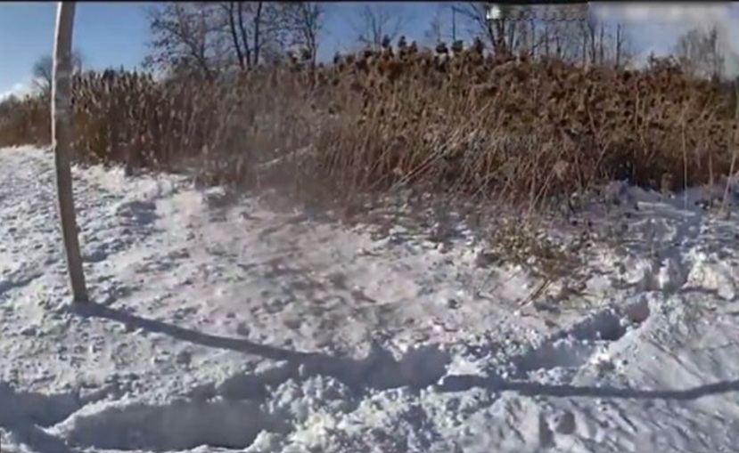 Drone helps save suspect at risk of freezing [see video]