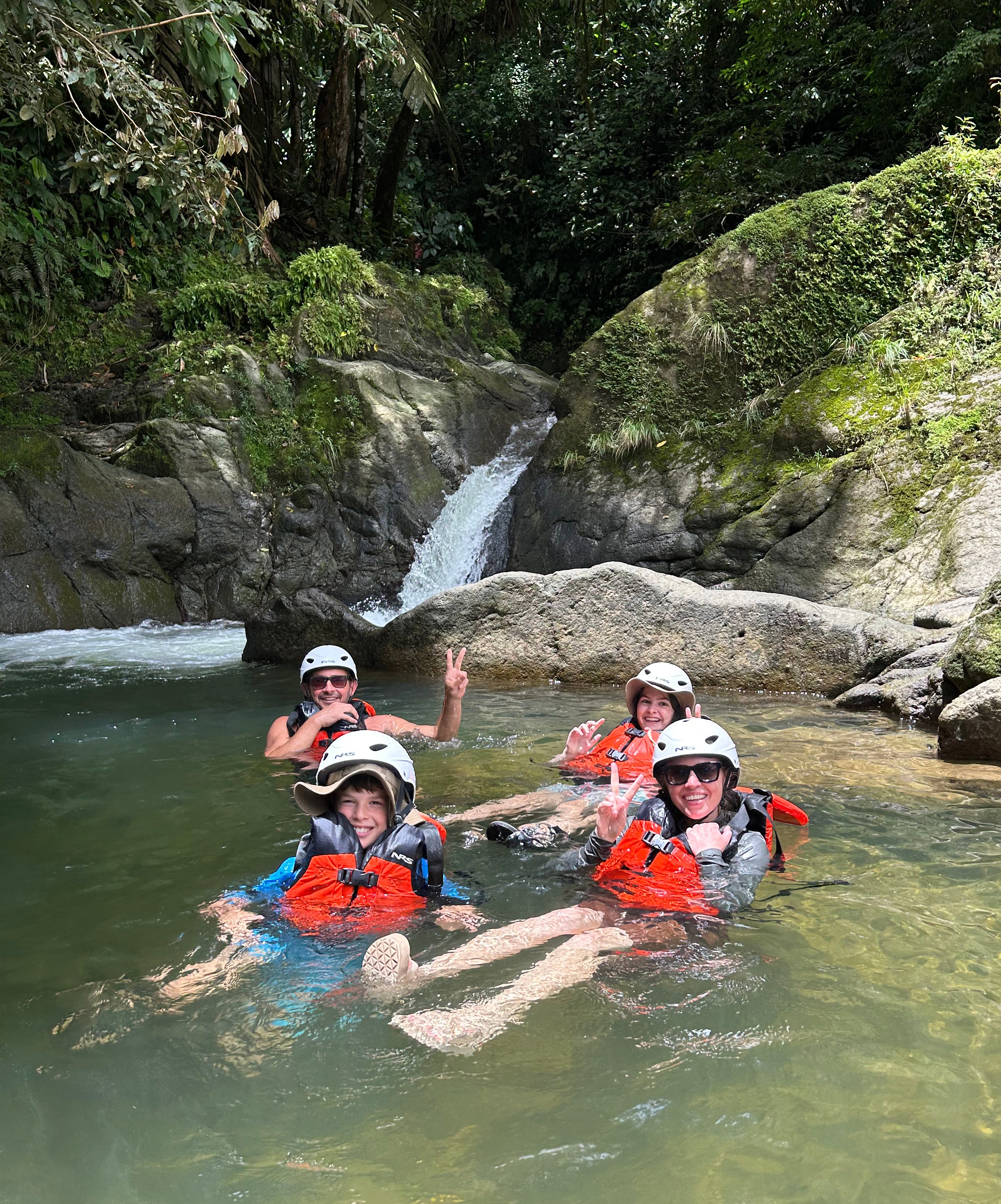 NINTCHDBPICT001054535986