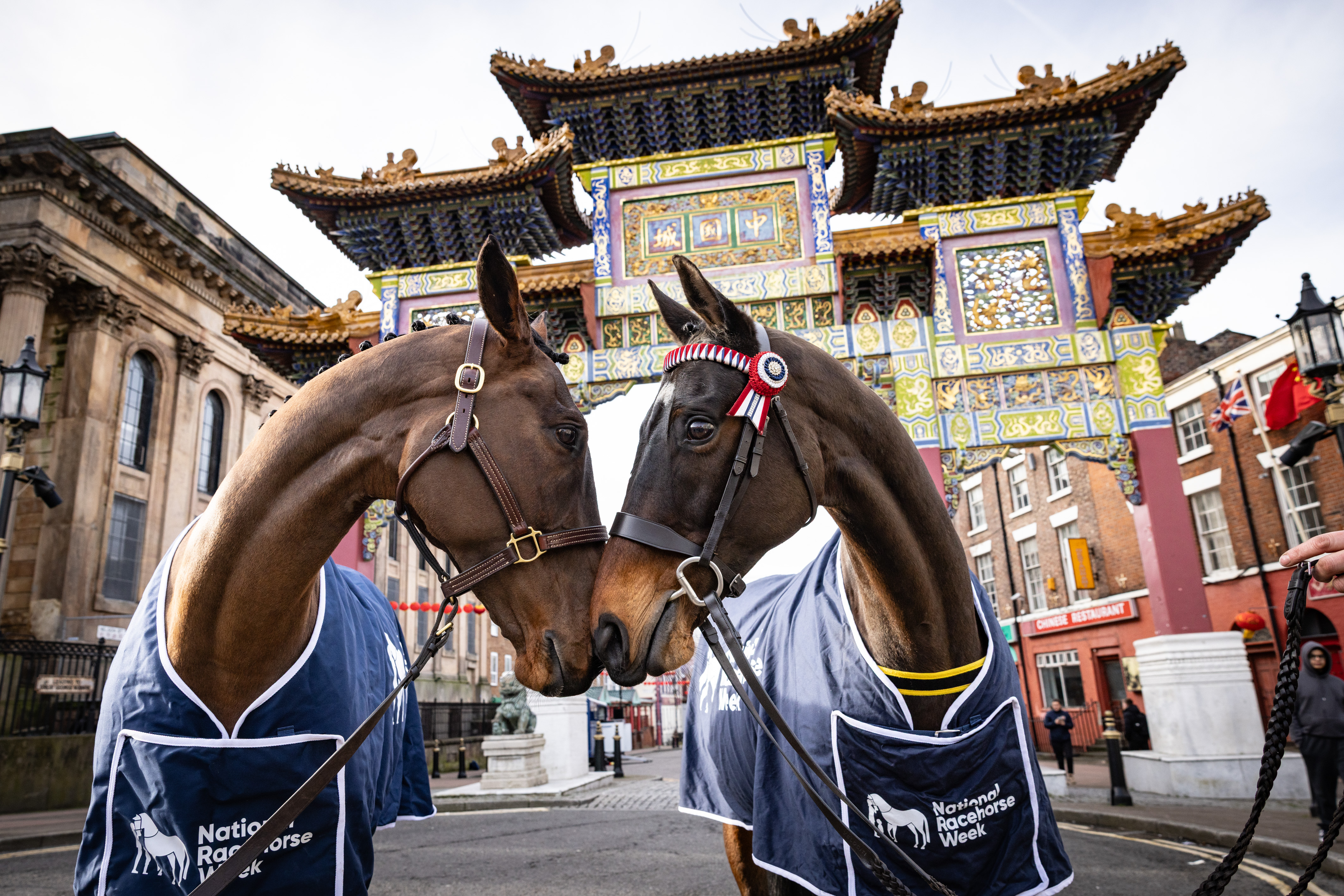 Great British Racing Chinese New Year Horse