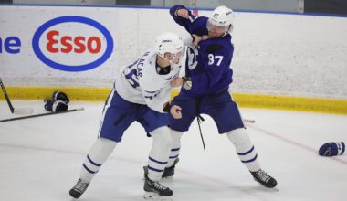 Leafs development camp