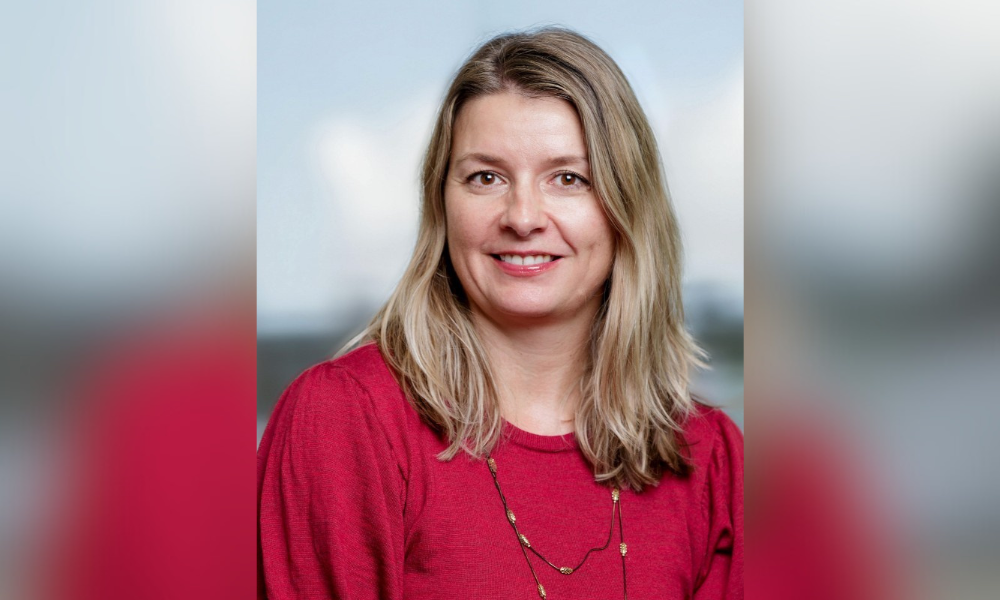 Strong credit demand, but arrears and liquidations flash warning signs