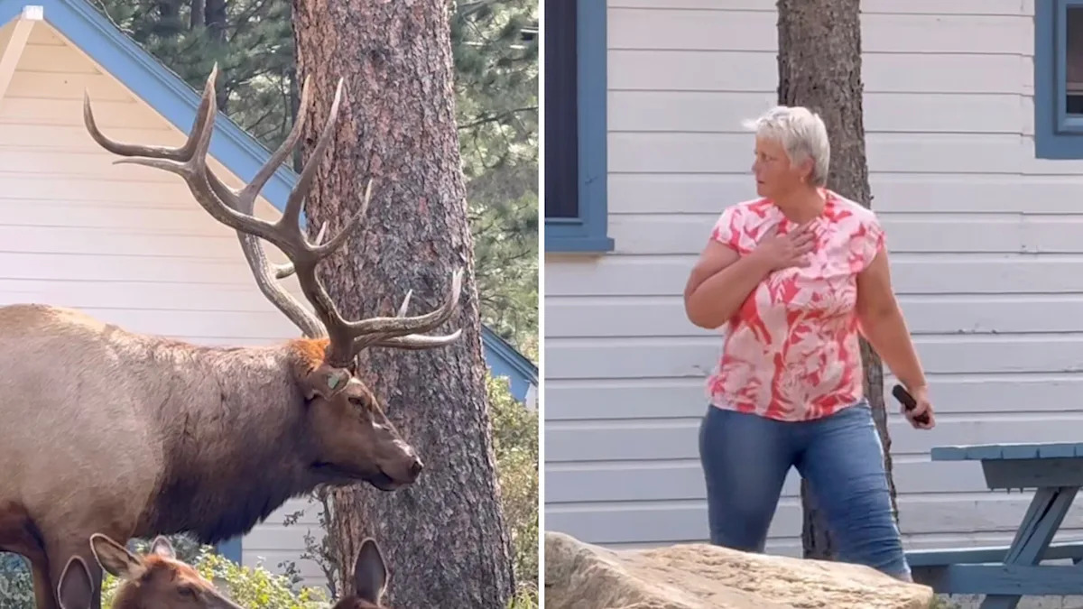 Yahoo lifestyle home