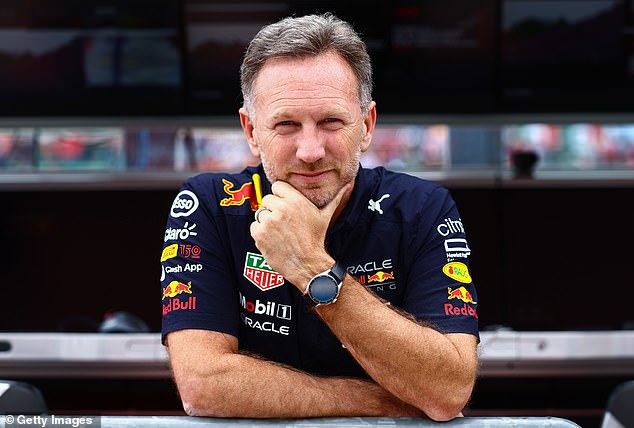 It remains to be seen what team or role Horner will take on when he comes back