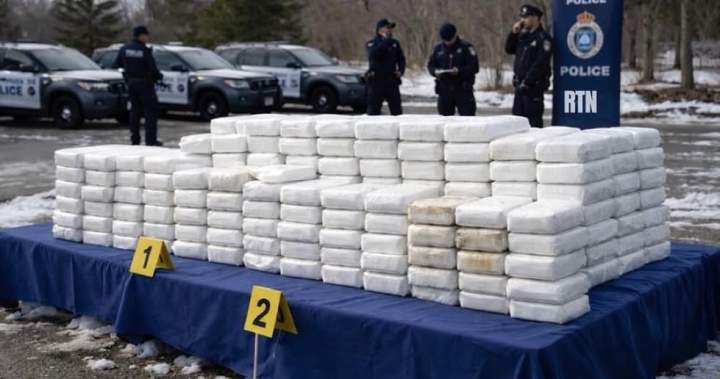 Teen arrested in historic cocaine seizure worth $7M: Durham police