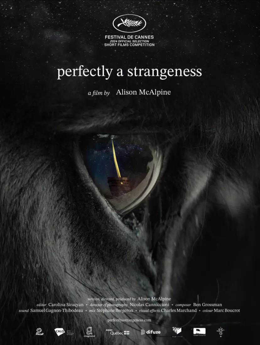 'Perfectly a strangeness' poster