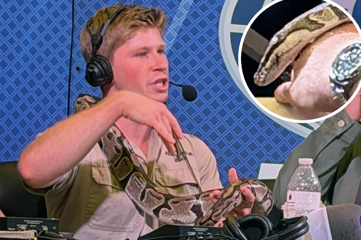 Robert Irwin brings snake to Super Bowl Radio Row