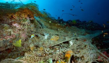 Startup Is Turning Ocean Pollution Into Profits