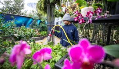 Nature’s healing power – Winnipeg Free Press