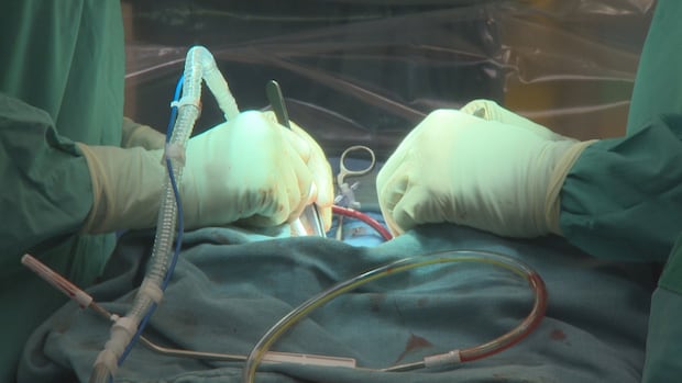 Alberta heart, cancer patients waiting too long for critical surgery, health experts warn