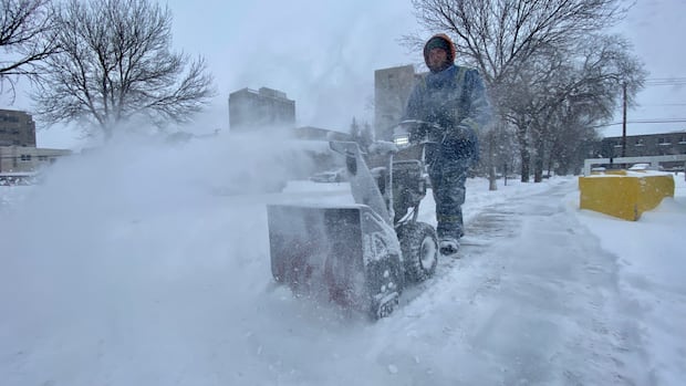 Major winter storm incoming for parts of N.L., promising 'wet and dense' snow