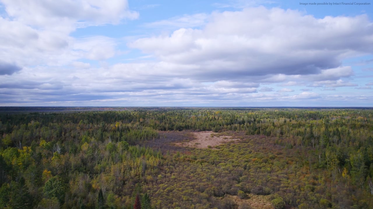 Drone photo of wetlands