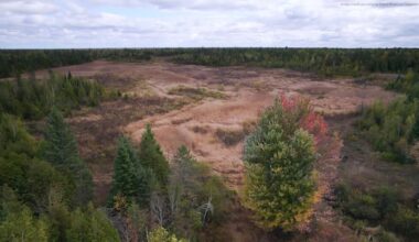 South Ottawa wetlands donated to Nature Conservancy for long-term protection