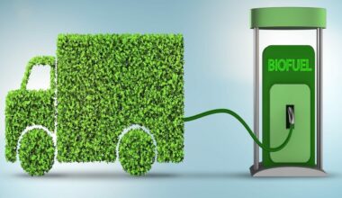 Image of green diversity