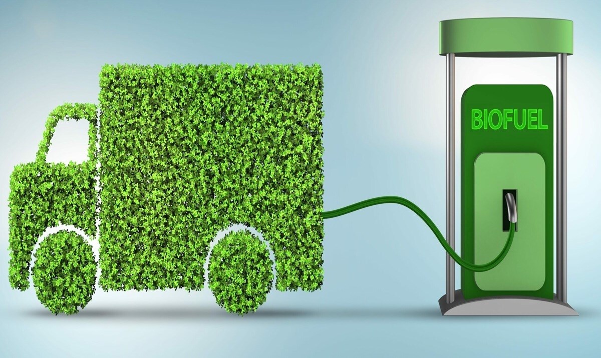 Image of green diversity