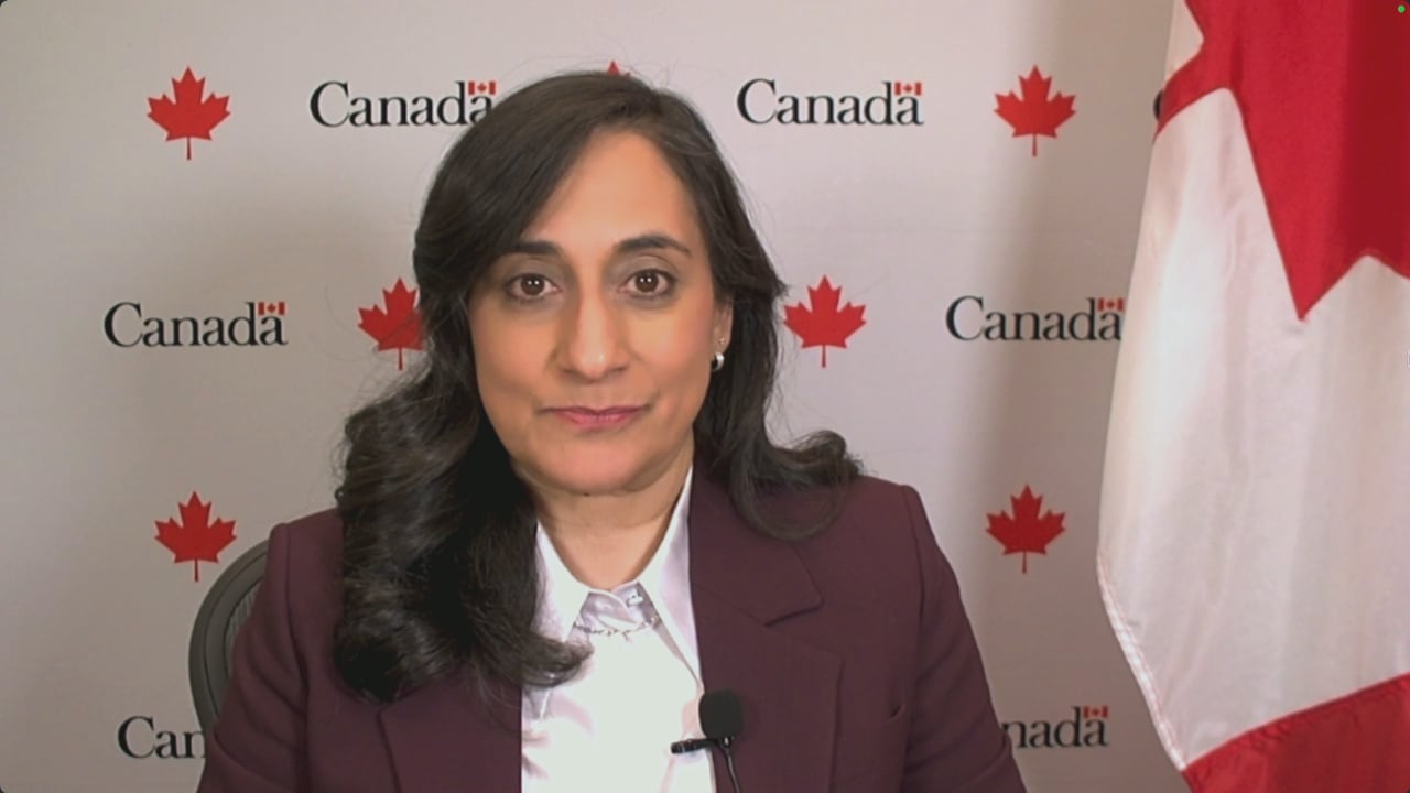 Canada needs more details before signing onto U.S. critical minerals plan: Anand