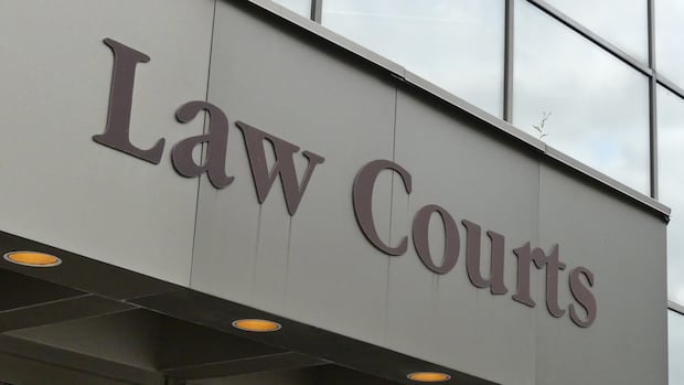 U.S. men tell Manitoba court they wanted to help border crossers escape immigration crackdown