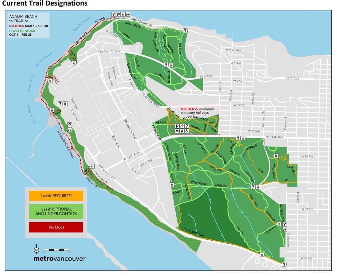 A grey map with green spaces showing yellow, green and red lines that are trails in the park
