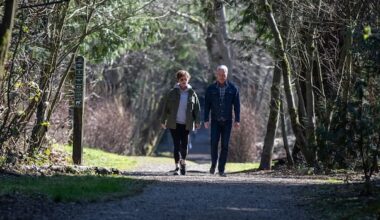 Metro Vancouver pauses plan to change leash-optional areas at Pacific Spirit Regional Park