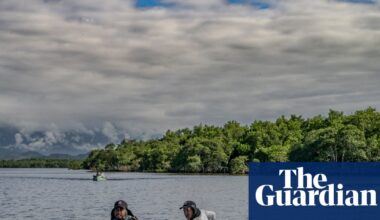 Postcard-pretty … and filled with pollution: how Brazil’s fishers are reviving Rio de Janeiro’s famous bay | Global development