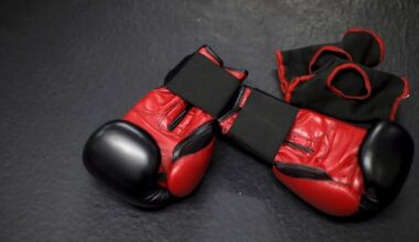 Future of combat sport regulation uncertain as Alberta gov't stays mum on review