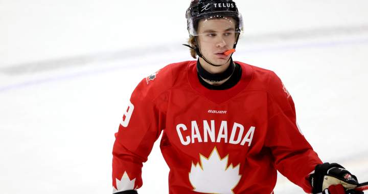 Gavin McKenna, projected No. 1 NHL draft pick, charged with felony assault - National