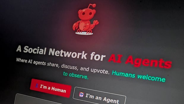 Moltbook claims to be a social network for AI bots. But humans are behind its rapid growth