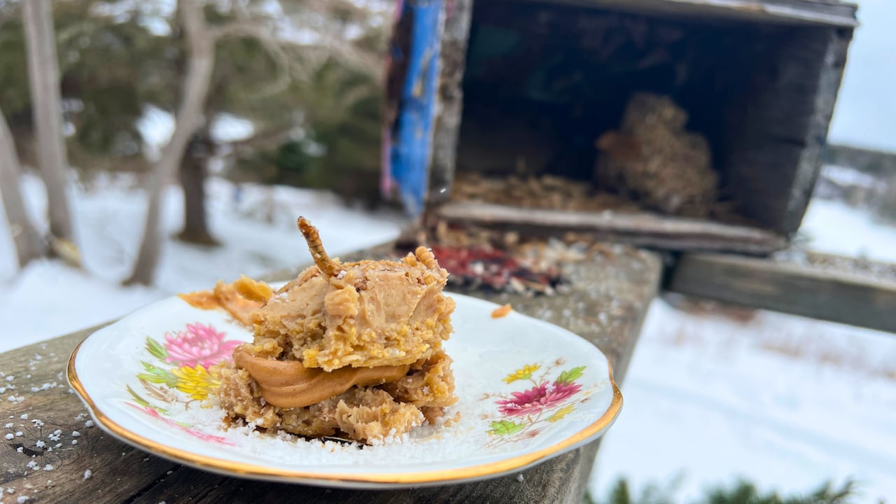 A mud cake on a plate