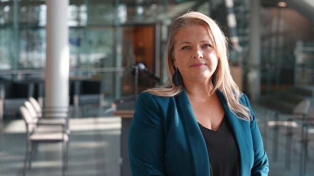 Struggling diamond industry means 'very difficult time for northerners,' says N.W.T. minister